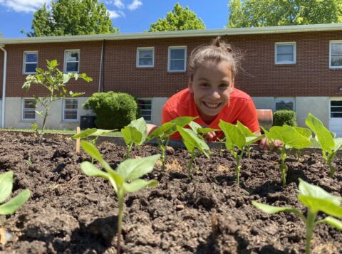 How Does Your Garden Grow?