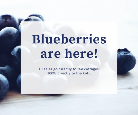 Blueberries are here!