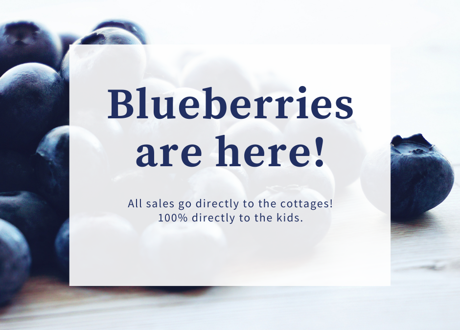 Blueberries are here!