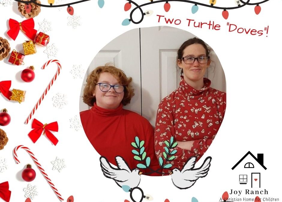 On the Second Day of Christmas, my true love gave to me, two turtledoves.